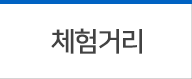 체험거리